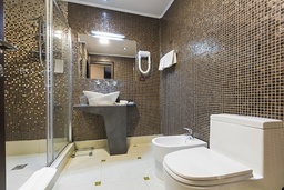 Installation of mosaic tiles in a bathroom