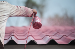 Mise en peinture d'une toiture en tuiles 