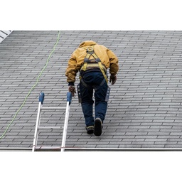 Have the condition of your roof diagnosed