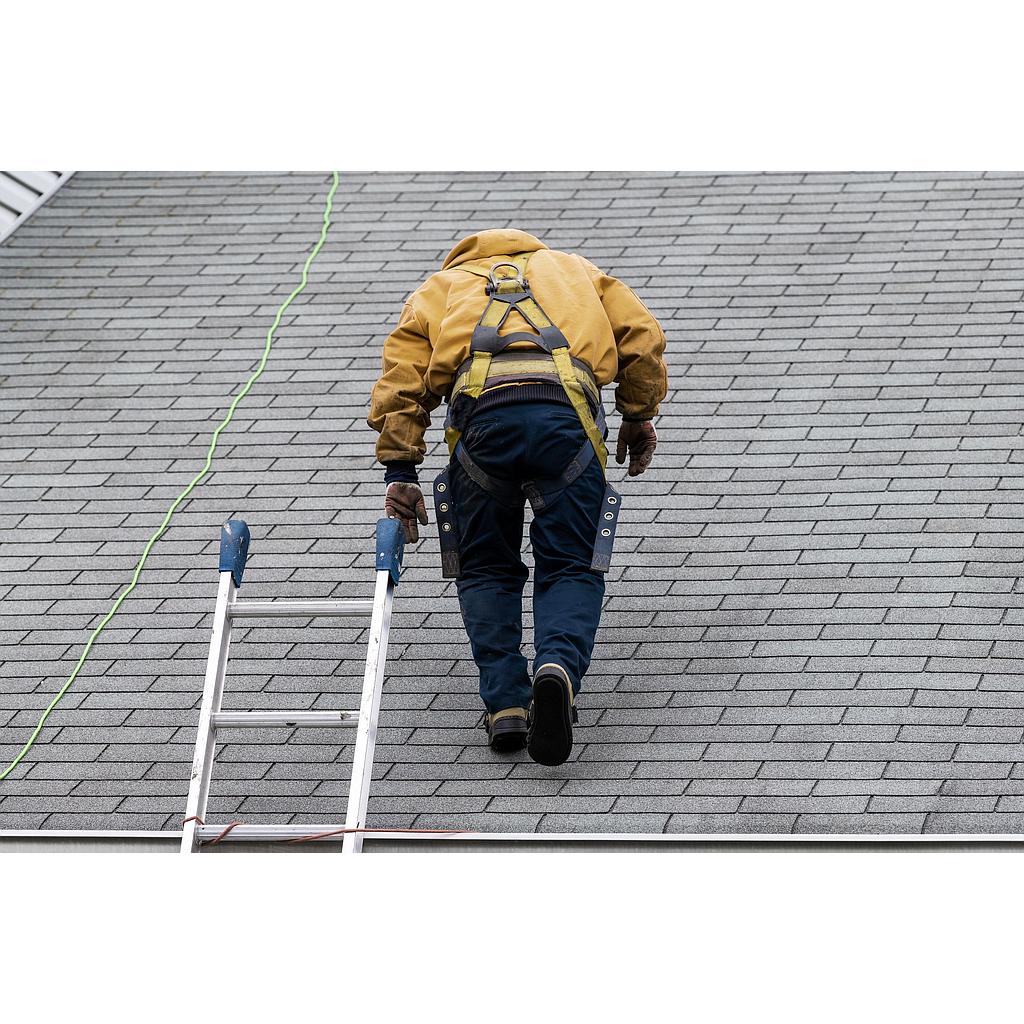 Have the condition of your roof diagnosed